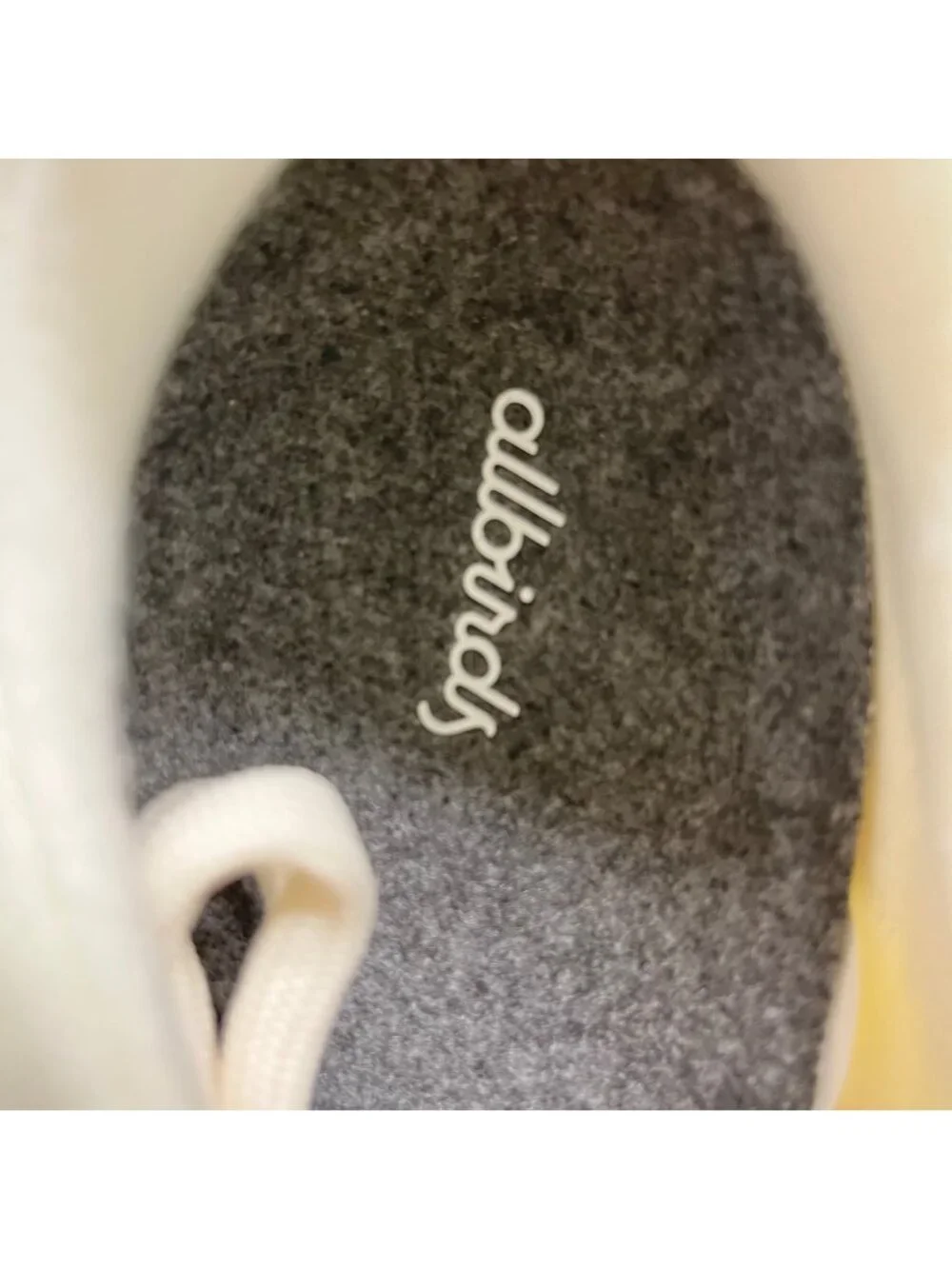 allbirds please review